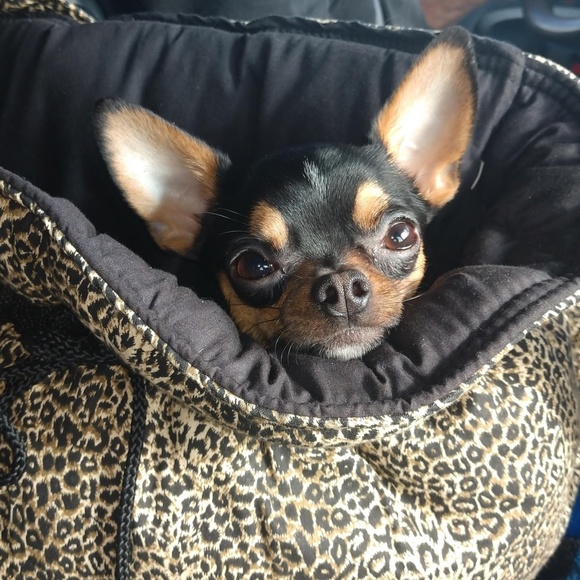 Meet your Posher, Joan - Picture 1 of 1